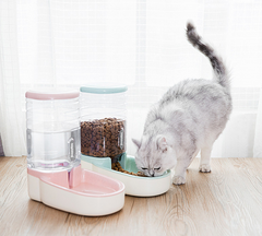 Pet Automatic Feeder Microphone with Drinking Fountain