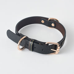 Pet Leather Collar & Leash